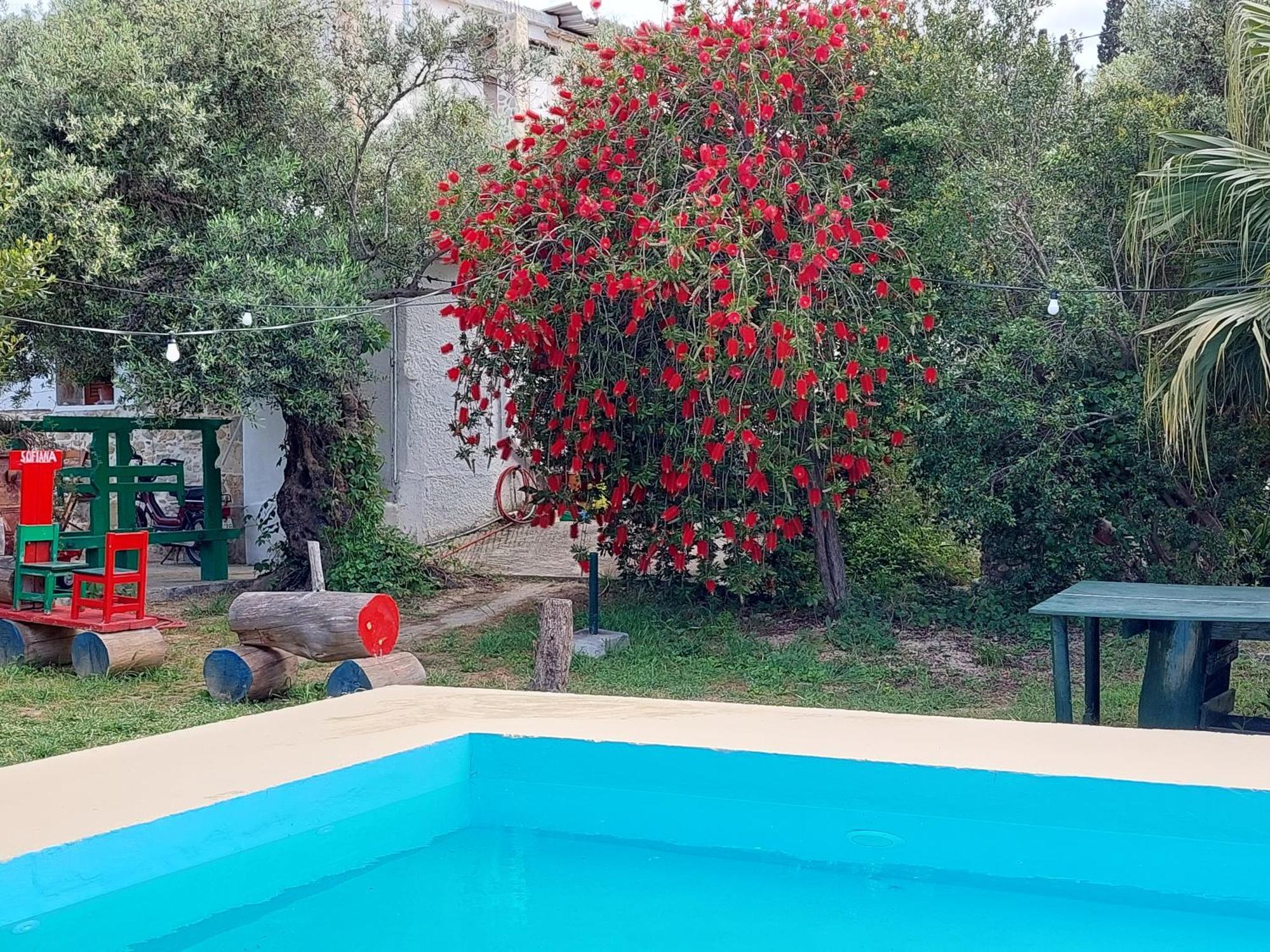 Sofiana'S Garden Retreat With Private Pool Apartment Dhrapanias Room photo