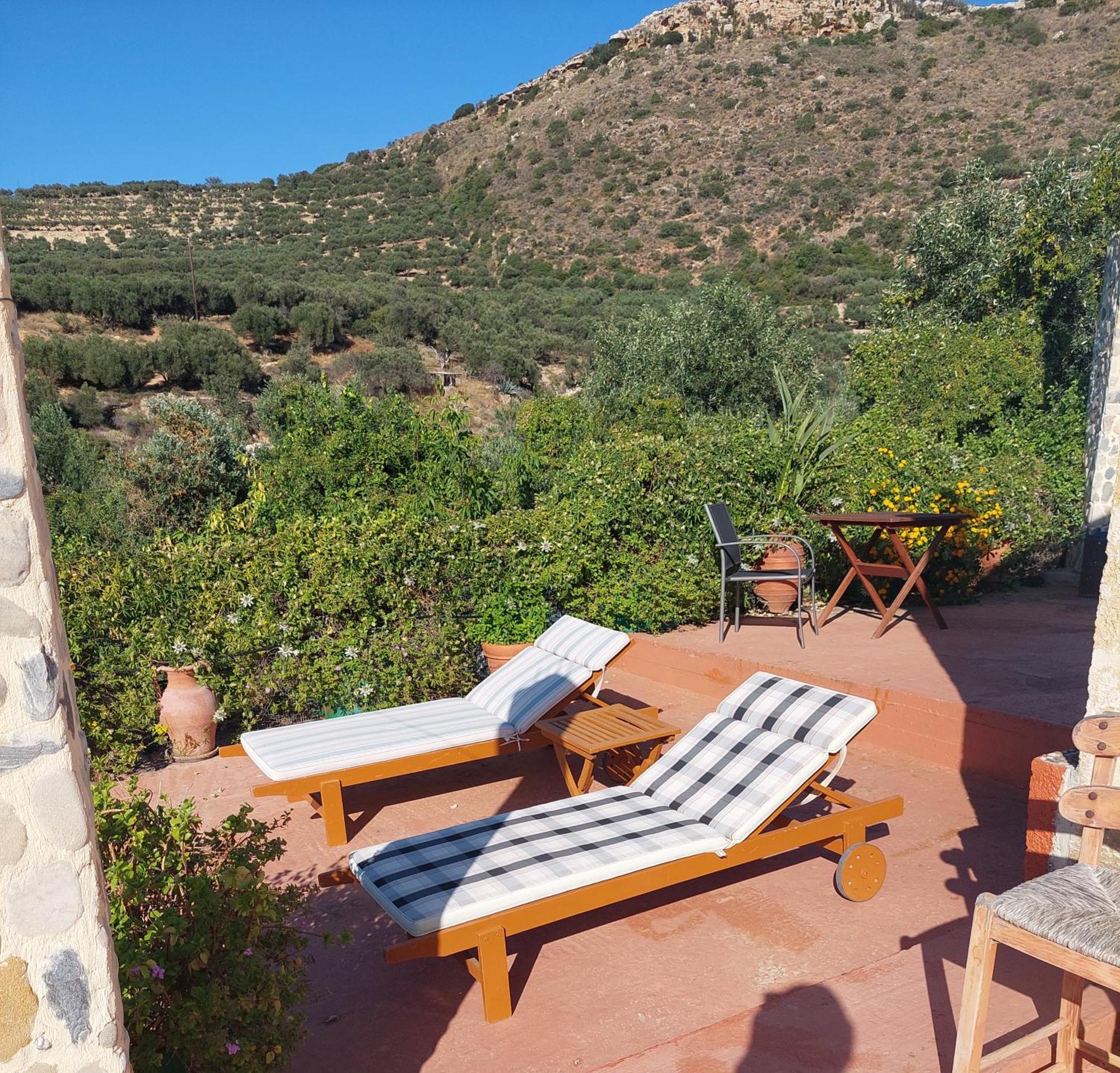 Sofiana'S Garden Retreat With Private Pool Apartment Dhrapanias Room photo