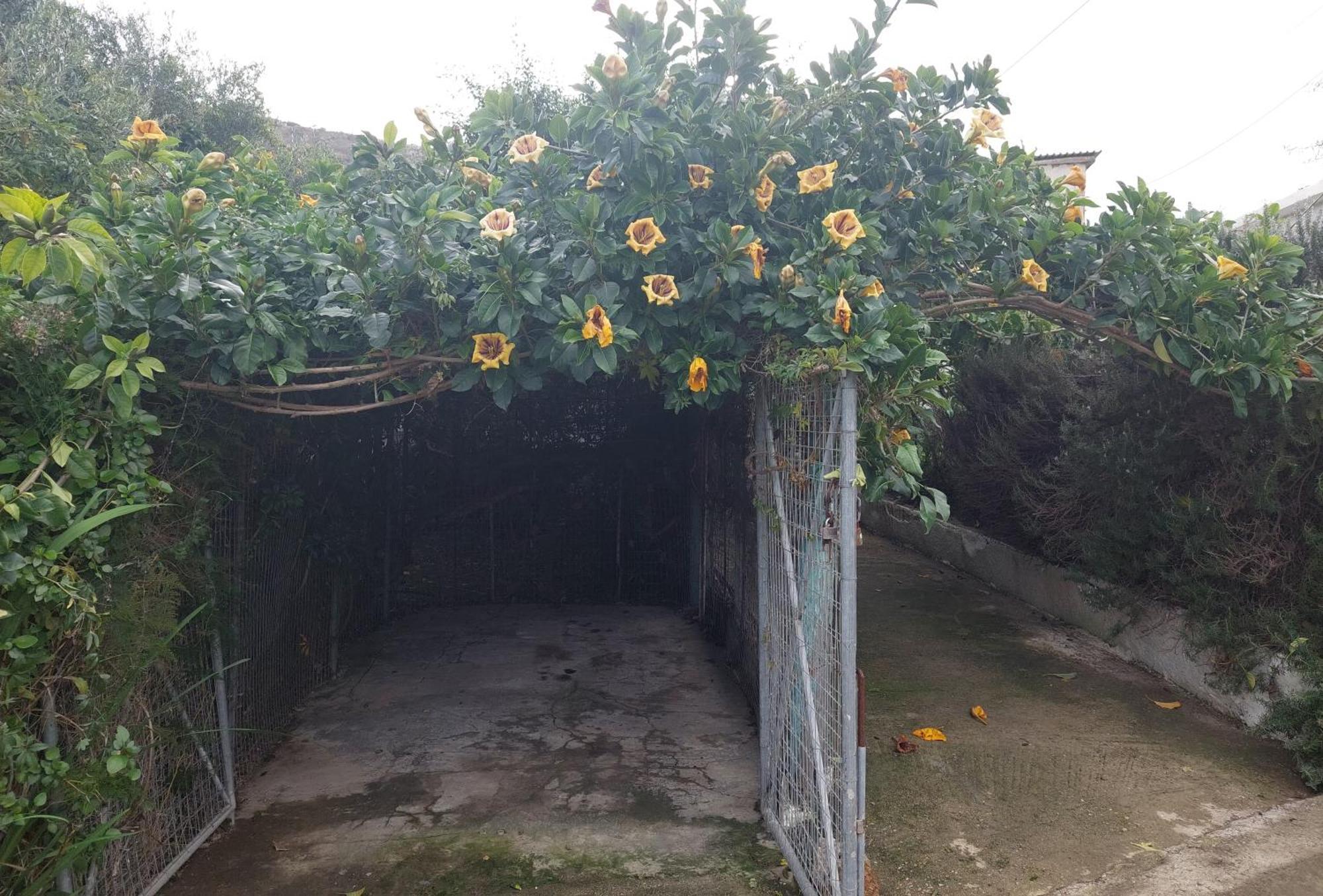 Sofiana'S Garden Retreat With Private Pool Apartment Dhrapanias Exterior photo